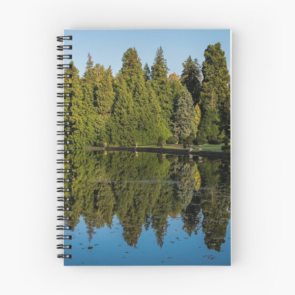Item preview, Lake Reflections designed and sold by Colin Metcalf.