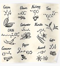 The Chemistry of Food Poster