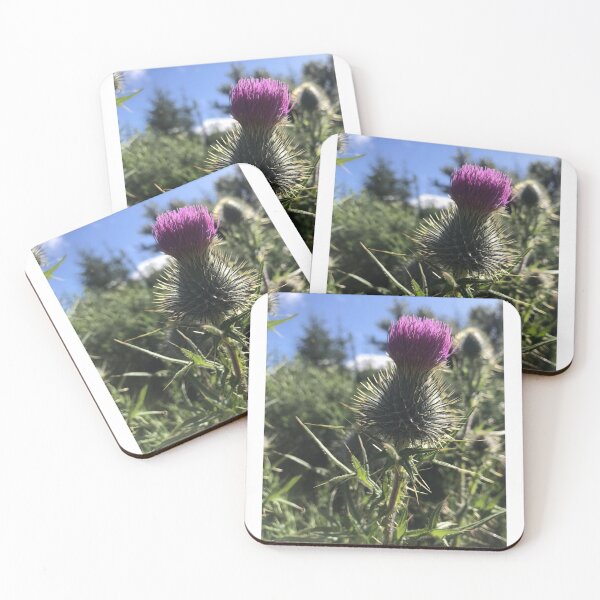 Item preview, Scottish Thistle  designed and sold by Steven Dawson.