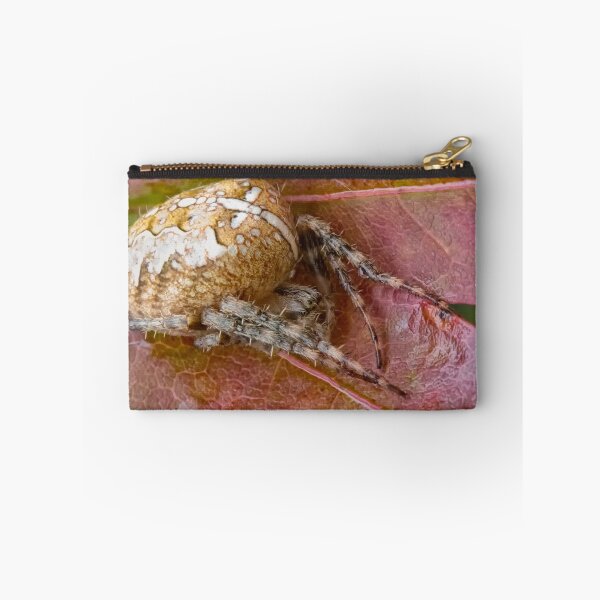 Item preview, This Itsy Bitsy Spider Wouldn't Crawl Up Anything!!! designed and sold by TeresaB.