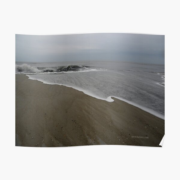 Winter Beach, Assateague Poster