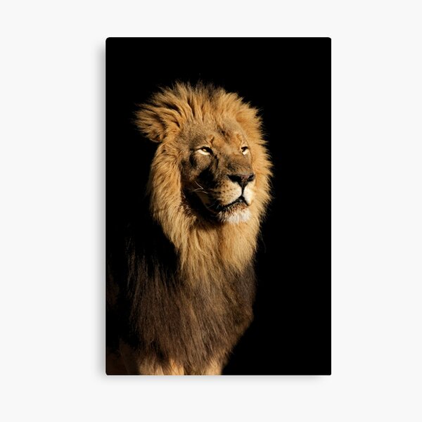 Photo & Art Print Lion in smoke on dark background