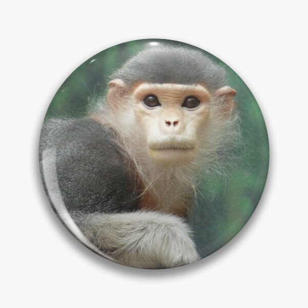 Item preview, Red Shanked Douc Langur designed and sold by andrew82984.