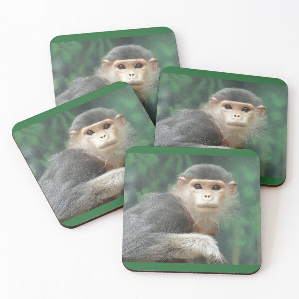 Item preview, Red Shanked Douc Langur designed and sold by andrew82984.