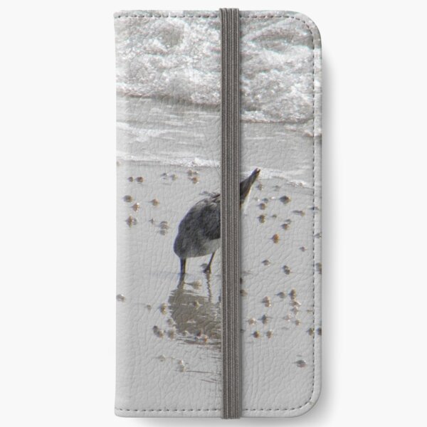 sandpiper and coquina clams iPhone Wallet