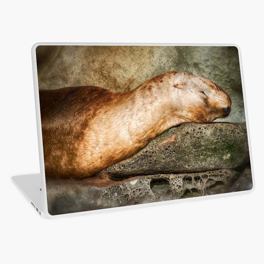 Nap Time on the Belle Chain Laptop Skin
