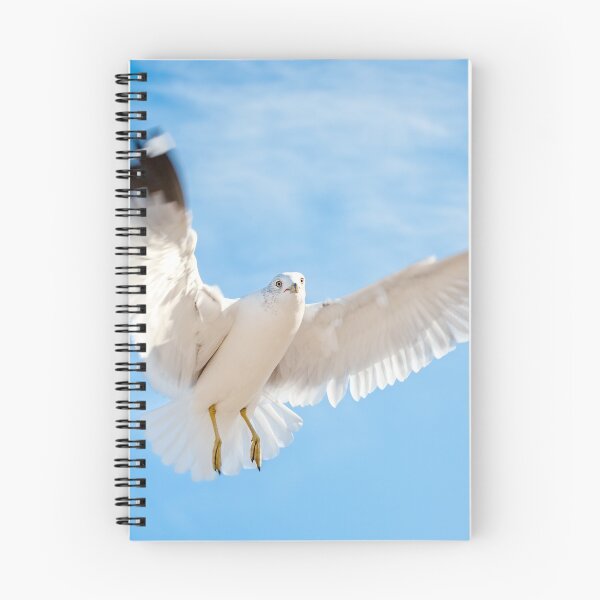 Item preview, Seagull in Flight designed and sold by Leslie Banks.