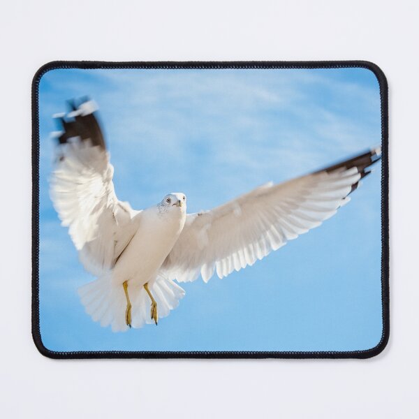 Item preview, Seagull in Flight designed and sold by Leslie Banks.
