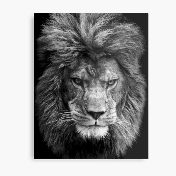 Item preview, Black and white lion designed and sold by damndiamond.