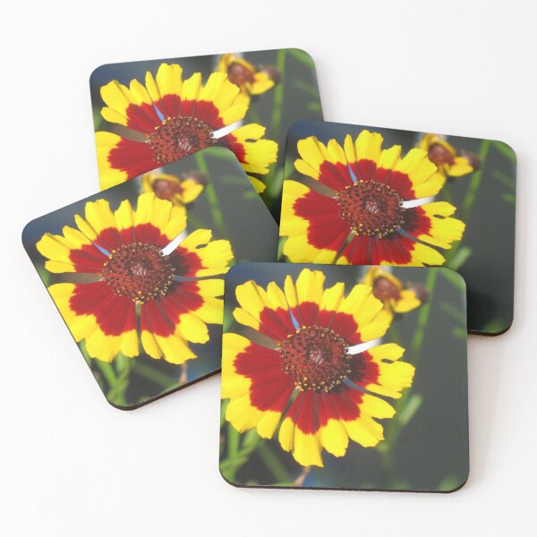 Item preview, Bright flower designed and sold by SariePhotograph.