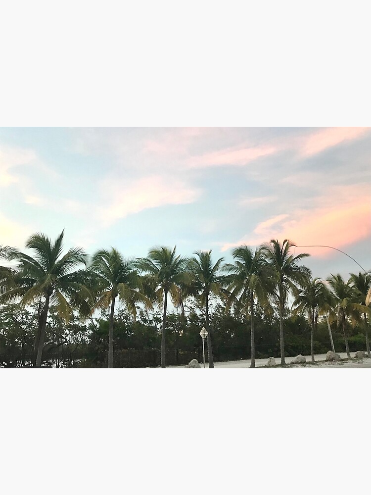 "Palm trees of Key West" Poster by Rustictouch Redbubble
