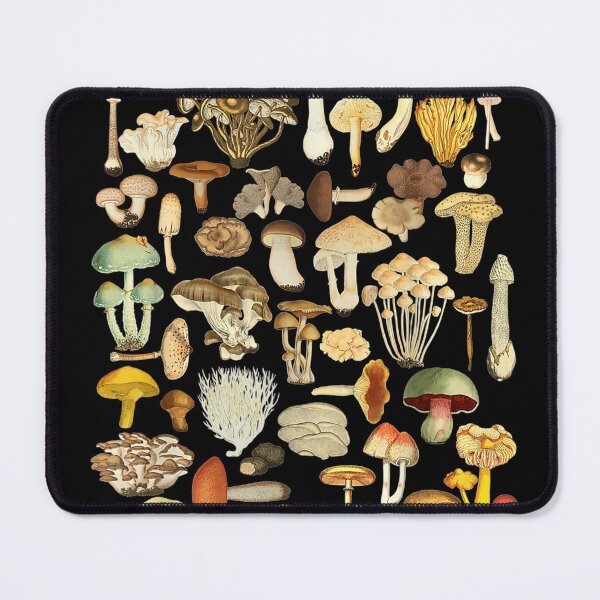Item preview, Mushroom Mycology Fungi Foraging Mushroom Whisperer designed and sold by JasonNathaya.