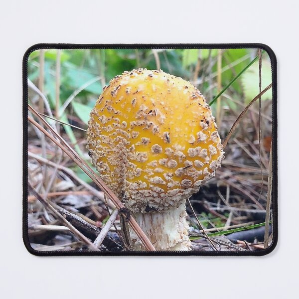 Yellow Mushroom Mouse Pad