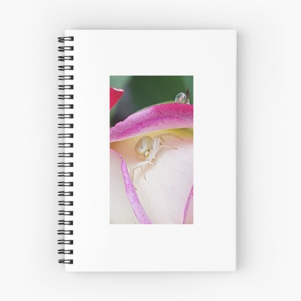 Item preview, Goldenrod Crab Spider designed and sold by AbnormalLoad.
