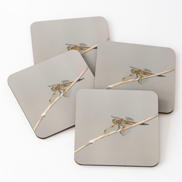 Item preview, Four spotted Skimmer 2021-1 designed and sold by Thomasyoung.