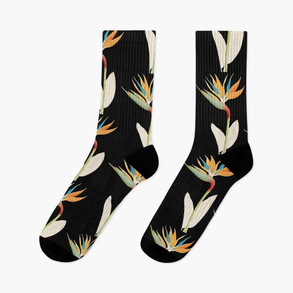 Item preview, Bird of Paradise - Strelitzia Reginae - botanical illustration designed and sold by chimakingthings.