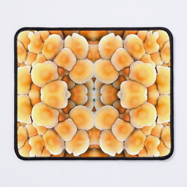 Honey Mushrooms Mouse Pad