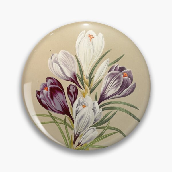 Item preview, Crocus - botanical illustration designed and sold by chimakingthings.