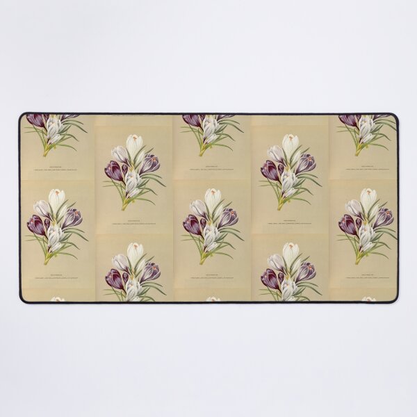 Item preview, Crocus - botanical illustration designed and sold by chimakingthings.