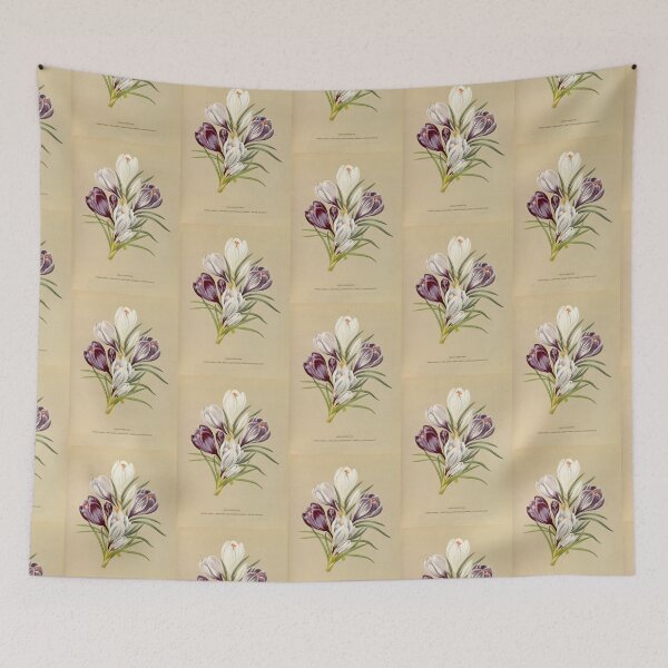 Item preview, Crocus - botanical illustration designed and sold by chimakingthings.