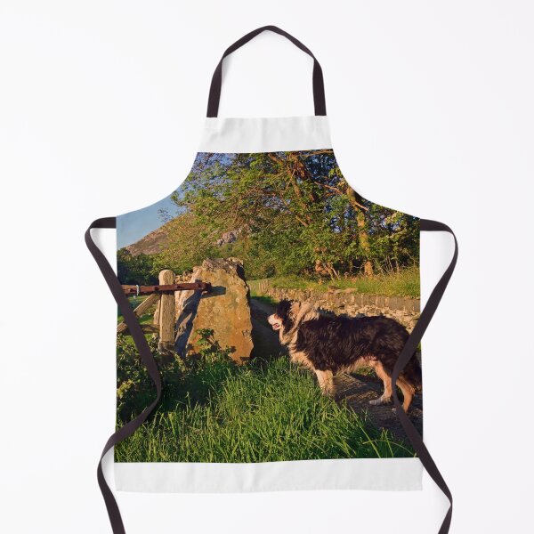 Item preview, Sheepdog Dreams. designed and sold by Michael Haslam.