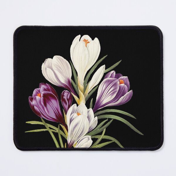 Item preview, Crocuses - botanical illustration designed and sold by chimakingthings.