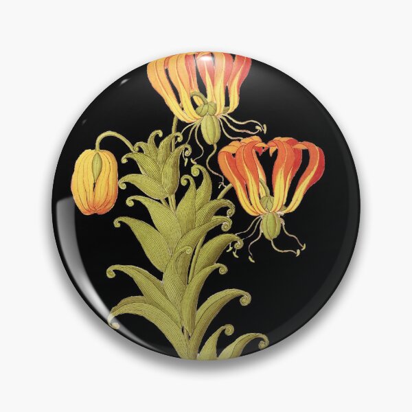 Item preview, Flame lily - Gloriosa superba - botanical illustration designed and sold by chimakingthings.