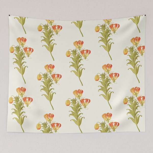 Item preview, Flame lily - Gloriosa superba - botanical illustration designed and sold by chimakingthings.