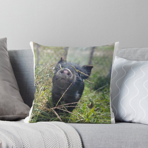 Item preview, Pogue the Pig designed and sold by The Scented Swine .