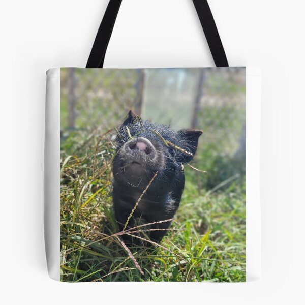 Artikelvorschau, Pogue das Schwein entworfen und verkauft von The Scented Swine .