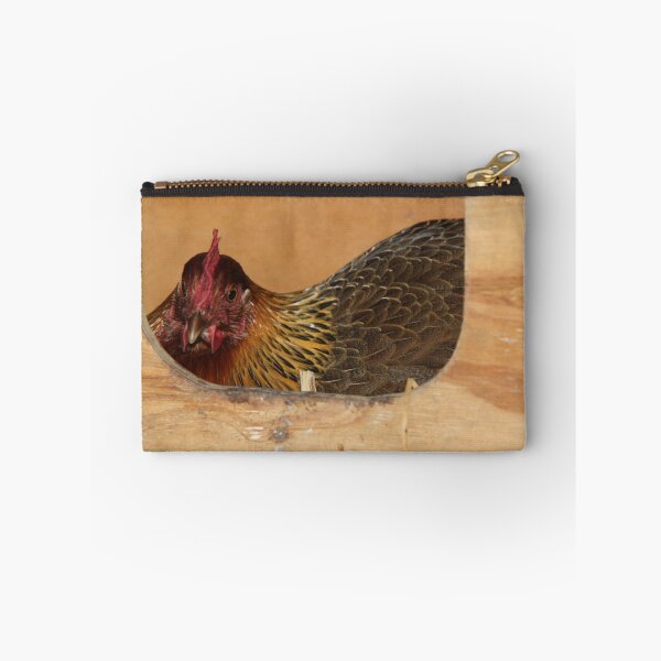 Item preview, Broody Chook designed and sold by Wendy Sinclair.