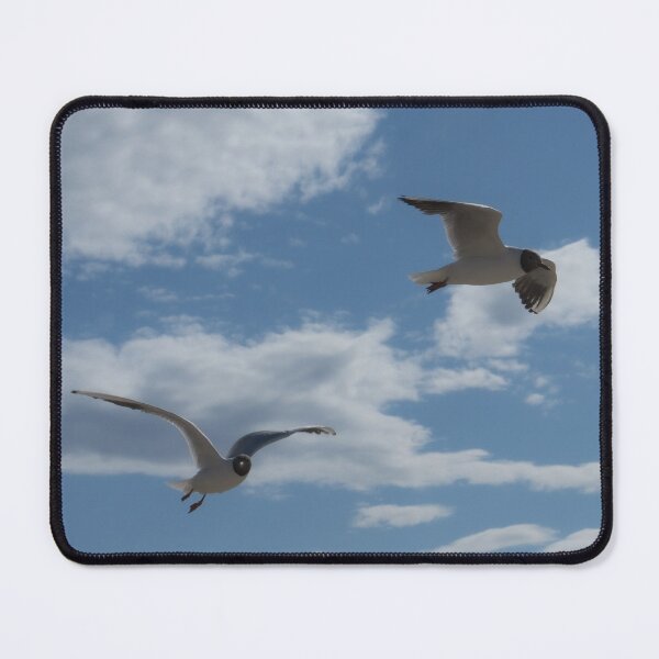 Item preview, Seagull flying at seaside in a warm sunny day designed and sold by Tae Mi.