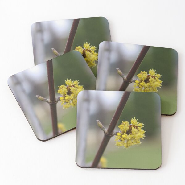 Item preview, Blooming flowers of Cornelian cherry designed and sold by Mahirov Shop.