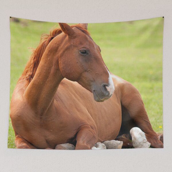 Item preview, Horse Relaxing In Green Pastures designed and sold by My Photo Shop.