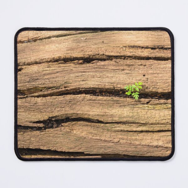 Item preview, Fallen oak limb designed and sold by ccullen222.