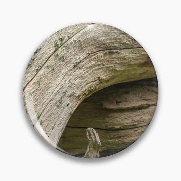 Artikelvorschau, Dead oak trunks entworfen und verkauft von ccullen222.