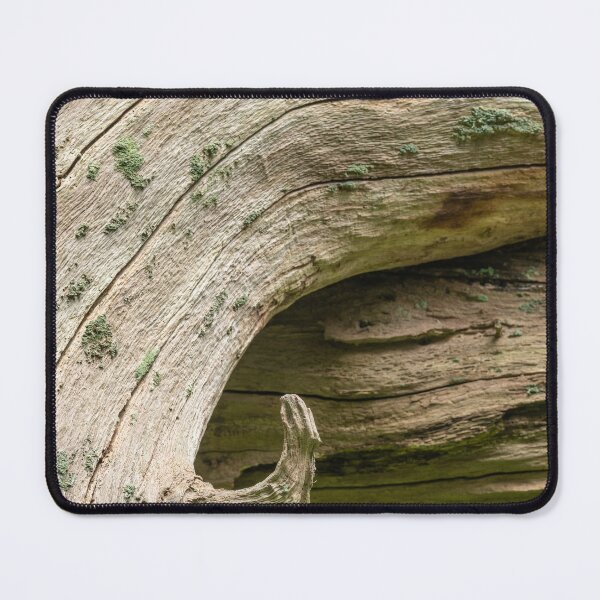 Item preview, Dead oak trunks designed and sold by ccullen222.