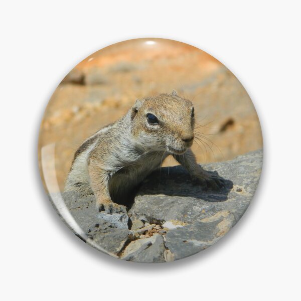 Item preview, Atlas squirrel designed and sold by Anowi.