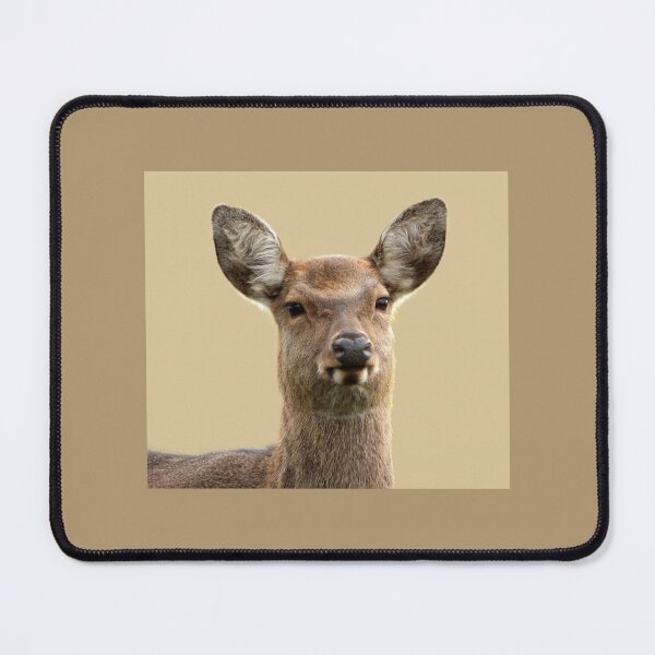 Item preview, A Wonderful Fallow Deer designed and sold by Karen Thomson.