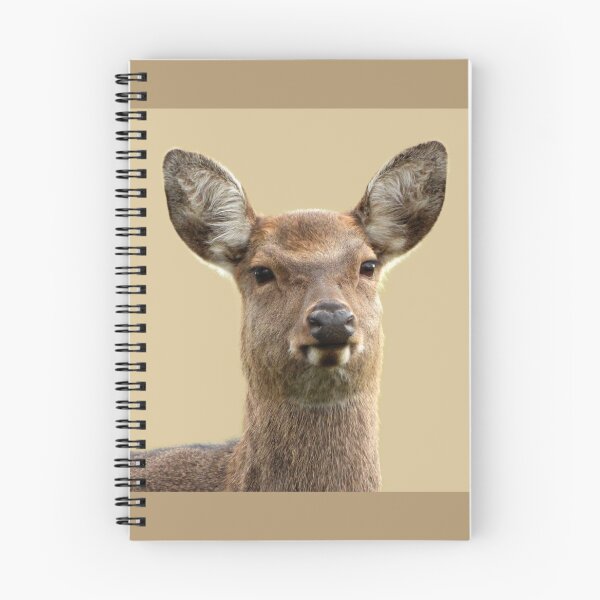 Item preview, A Wonderful Fallow Deer designed and sold by Karen Thomson.