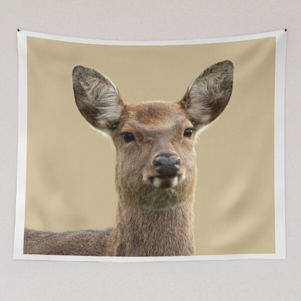 Item preview, A Wonderful Fallow Deer designed and sold by Karen Thomson.