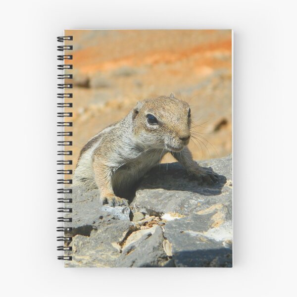 Item preview, Atlas squirrel designed and sold by Anowi.