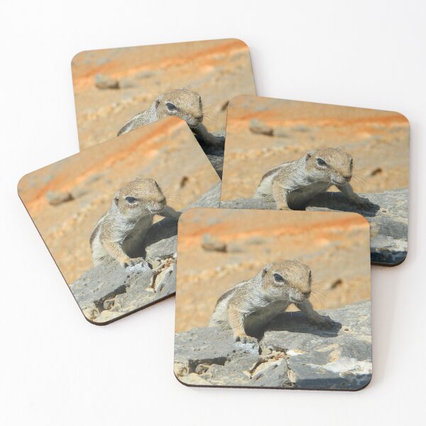 Item preview, Atlas squirrel designed and sold by Anowi.