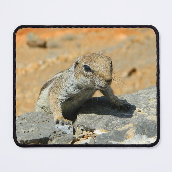 Item preview, Atlas squirrel designed and sold by Anowi.