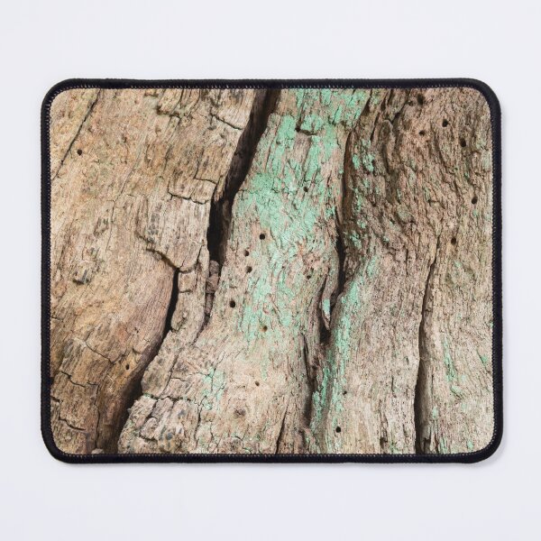 Item preview, Decaying oak tree trunk detail designed and sold by ccullen222.