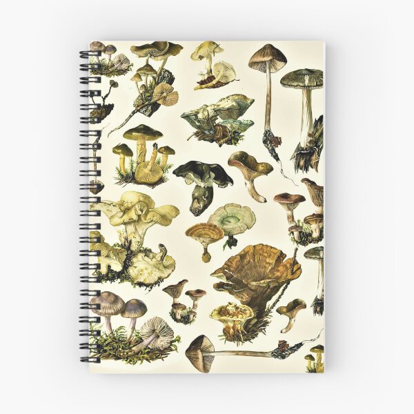 Item preview, Fungi, Mushroom Goodness .... Illustration designed and sold by KGBird.
