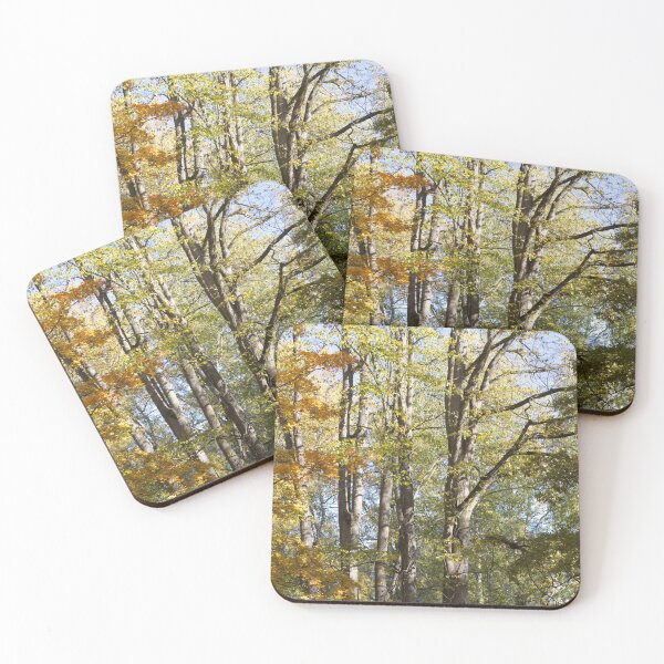 Item preview, The multicolored trees in the park during fall designed and sold by IraNiva.