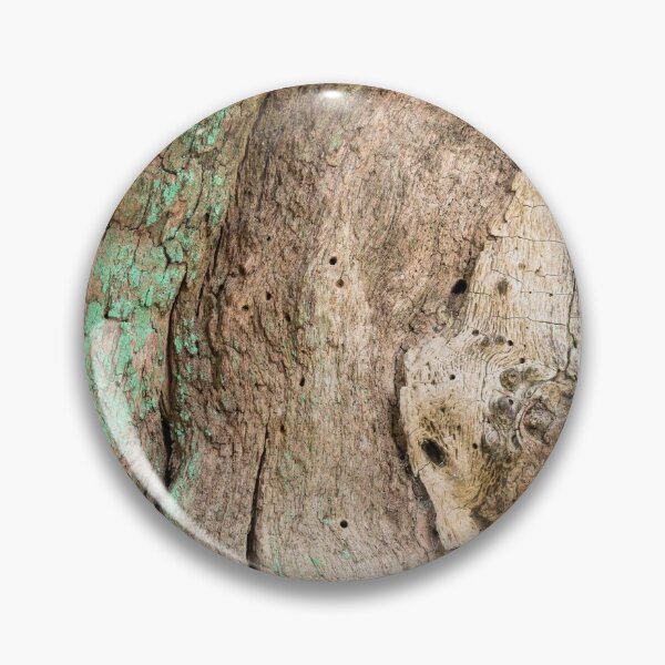 Item preview, Ancient Oak tree trunk designed and sold by ccullen222.