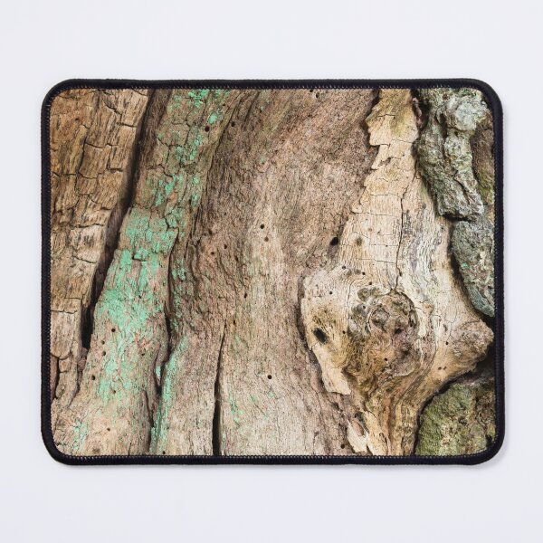 Item preview, Ancient Oak tree trunk designed and sold by ccullen222.
