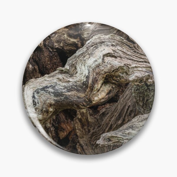 Item preview, Contorted oak oak tree bark designed and sold by ccullen222.